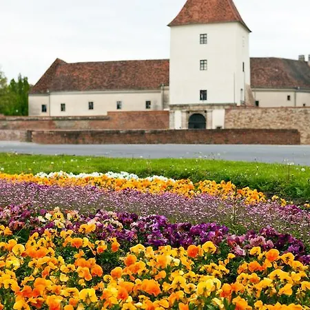 Апартаменты Azur Haz